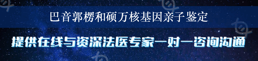 巴音郭楞和硕万核基因亲子鉴定